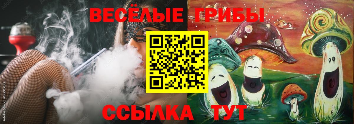 Галлюциногенные грибы Cubensis  Вход с VPN  Южноуральск 