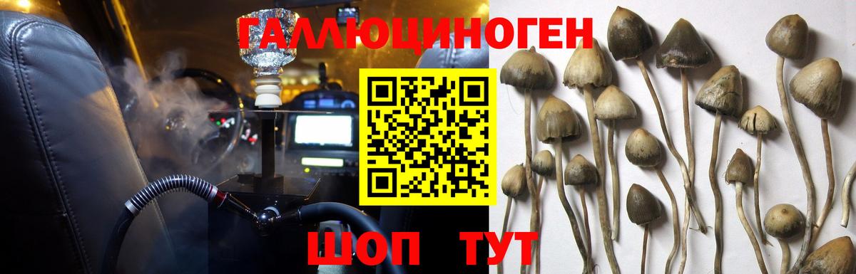 Псилоцибиновые грибы MAGIC MUSHROOMS Южноуральск